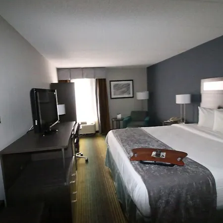 Best Western O'Hare/Elk Grove Hotel-3